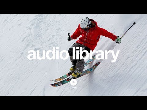 Echinoderm Regeneration – Jingle Punks (No Copyright Music)