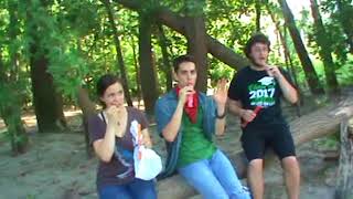 Summer Skeletons Unofficial Music Video