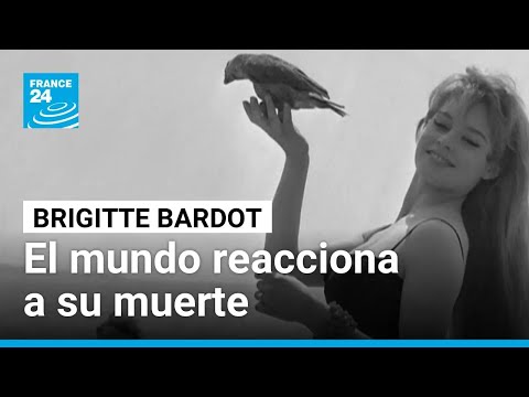 French sex symbol Brigitte Bardot dies at 91