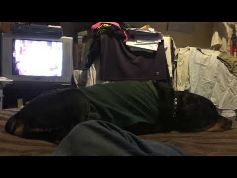 Pedro Aznar / Lito Vitale