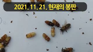 2021 월동포장 하면서 봉판은 꼭 빼내야 할까?