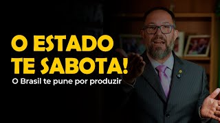 O ESTADO SABOTA QUEM TRABALHA E PREMIA QUEM NÃO PRODUZ