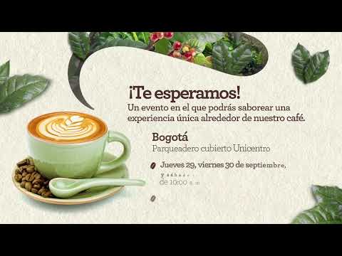 Conoce el origen, proceso y cultura del café con carulla