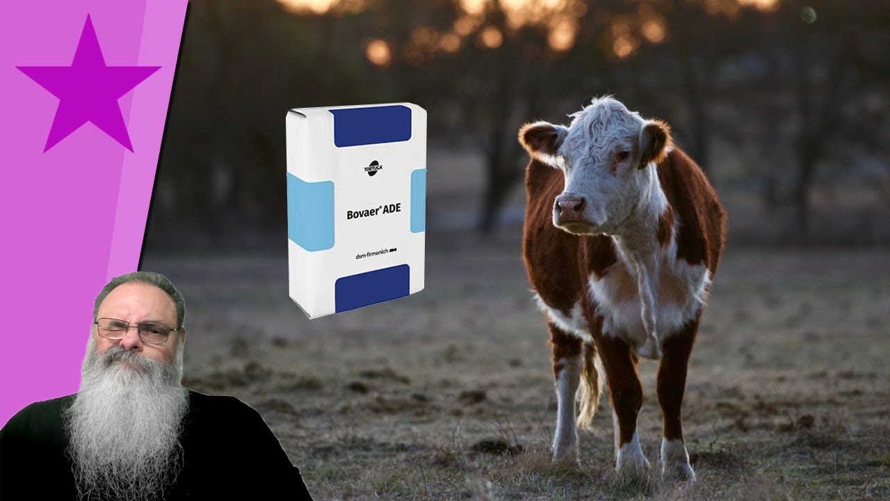 ADITIVO &quot;BOVAER&quot; sofre REJEIÇÃO de PECUARISTAS e CONSUMIDORES na EUROPA, mas QUAL o PROBLEMA?