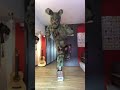 Springtrap Cosplay Dancing FNaF In Real Life