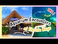 Florida Keys Aquarium Encounters Marathon Fl