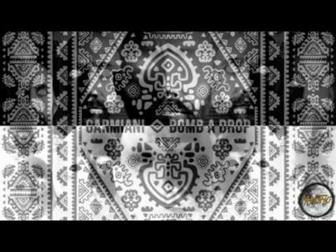 TJR & Garmiani ft. Savage - We Wanna Party Vs Bomb A Drop (Mix MasTho)