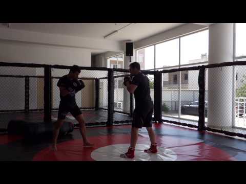 Botonis elite mma team