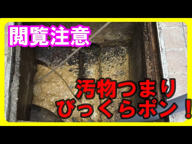 【閲覧注意＆蓋破壊】3か月ごとに詰まる原因を追究する【高圧洗浄】【内視鏡調査】