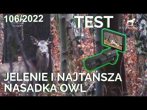 SUDECKA OSTOJA 106/2022 Polowanie na jelenie, test najtańszej nasadki OWL, deer