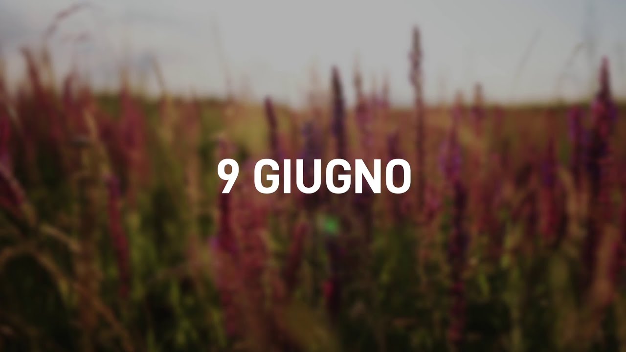 9 Giugno 2025 | Meditazione Parole di Vita