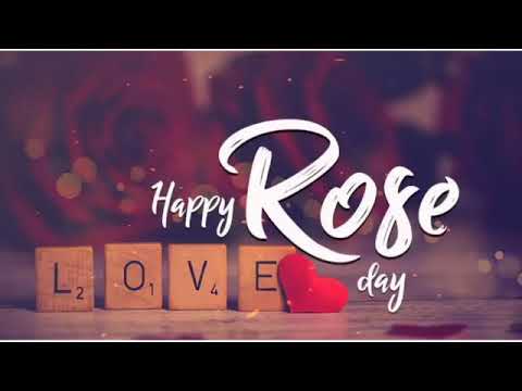 Roseday 🌹 Happy rose day 🌹 WhatsApp status || Masna satyaved ||