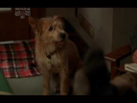 Mysterious Ways (1x01) Amazing Grace part 5