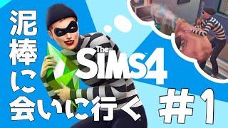 01【シムズ4】シムズ4にも泥棒が登場!?【TheSims4】