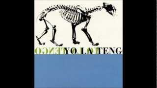 Yo La Tengo - The Pain Of Pain