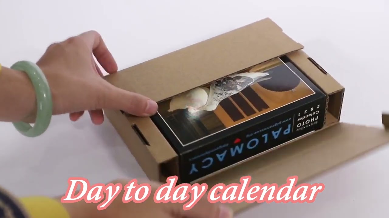 Tear off day to day calendar printing by Shenzhen Rich Color Printing Limited