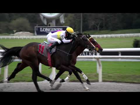 210904 c07 SUSTITUTO DEL SABA