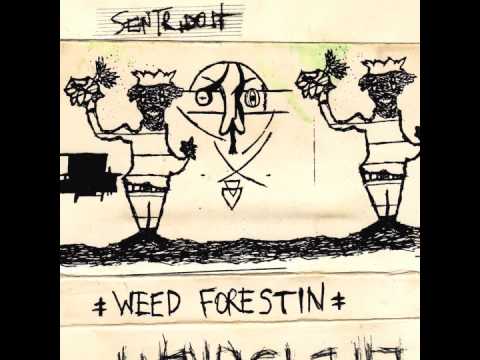Video thumbnail for Subtle Holy Gift