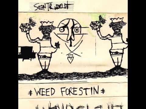 Sentridoh - Subtle Holy Gift