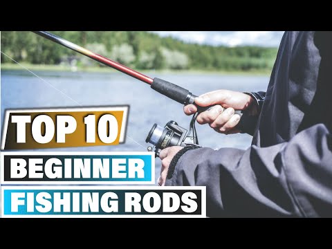 Best Beginner Fishing Rods In 2025 - Top 10 Beginner Fishing Rod Review