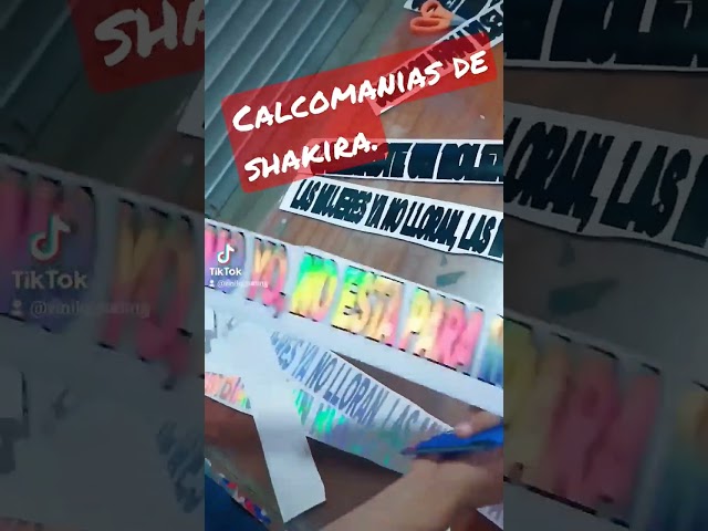 Vídeo relacionado con One Direction Sticker Pack 100Pcs, Laptop Stickers Bomb Vinyl Stickers Paquete Variado para Equipaje Computadora Monopatín Coche Motocicleta Calcomanía para Adolescentes Adultos
