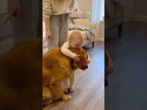 I’m right here with you 🐶👶💕