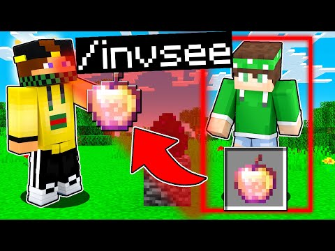 HO IMBROGLIATO NELLA CACCIA ALL'UOMO DI MINECRAFT