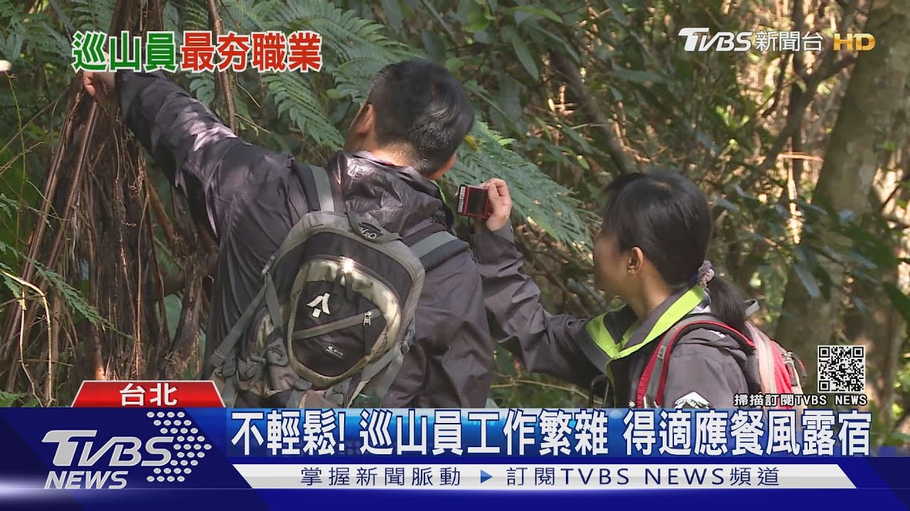這行業環保又健康！巡山員31職缺313人報考　錄取率僅9%創歷史新低