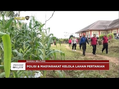 PRESISI UPDATE : KETAHANAN PANGAN 05/06/24 (16.00)