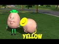 Egg says yellow (NOT clickbait)