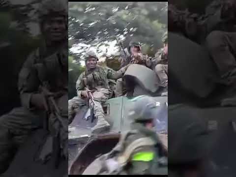 ☹️Combates en Argelia Cauca