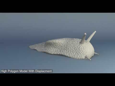 3D Generalist Showreel 2017