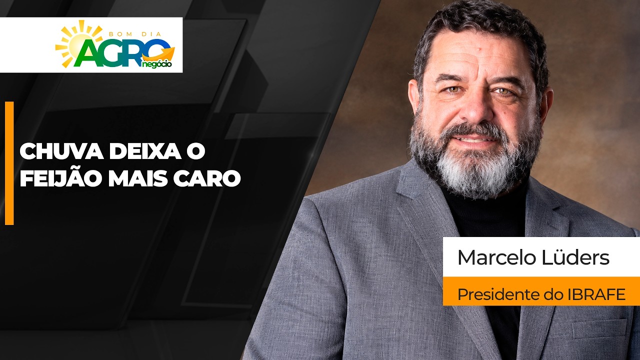 Chuvas atrasam e tiram qualidade da colheita de feijão, além de impedirem plantio da 1ª safra...