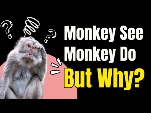 The Five Monkeys Experiment | Social Conformity Among Primates | Whiteboard Animation