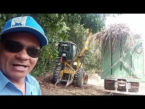 CANAL CICERO PRANCHETA DIRETO DÁ FAZENDA POÇO MESSIAS AL 27 01 26 👏