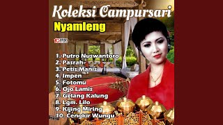 Download lagu Putro Nuswantoro mp3