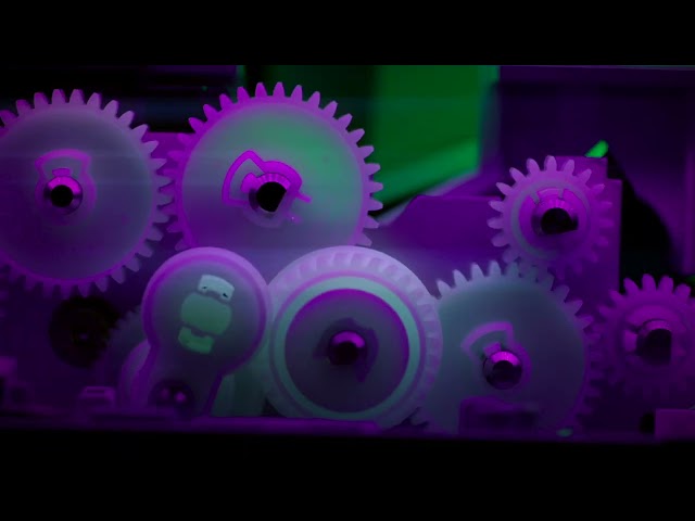 11130115 video