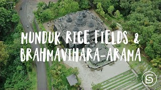 Discover Munduk & Brahmavihara-Arama (Northern Bali)