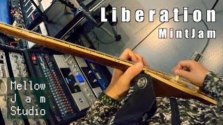 Liberation / MintJam (a2c playthrough)
