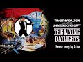 A Ha The Living Daylights Extended Instrumental