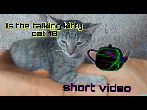 is the talking kitty cat 18# - short video