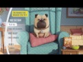 Secret Life Of Pets 2016 DVD Menu Walkthrough