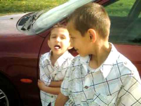 029 craiva andre si amos