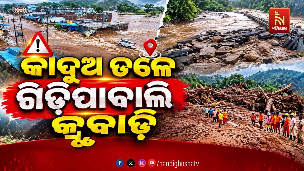 କାଦୁଅ ତଳେ ଗିଡ଼ିପାବାଲି, କ୍ରୁବାଡ଼ି