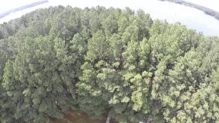 Christmas Tree Island- Smith Mountain Lake