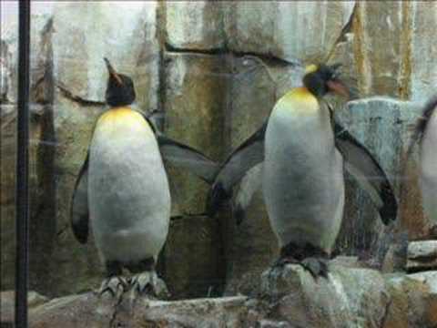 Jose Amnesia - Wouldn't Change a Thing