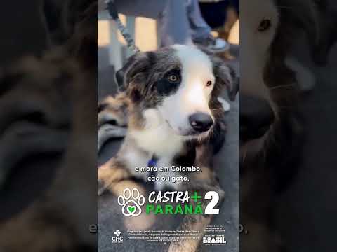 Programa Castra+ Paraná 2 em Colombo!!