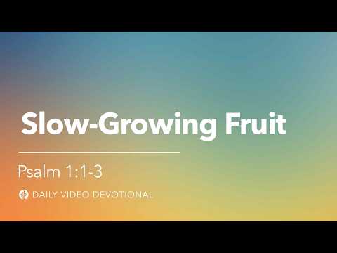 Slow-Growing Fruit | Psalm 1:1-3 | Our Daily Bread Video Devotional