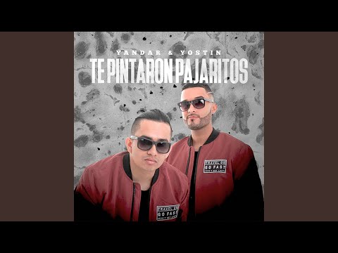 Te Pintaron Pajaritos (feat. Andy Rivera)