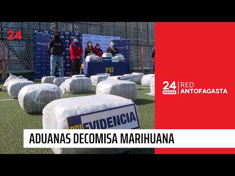 Aduanas decomisó casi media tonelada de marihuana | 24 Horas - Red Antofagasta